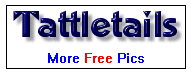 Tattleteils